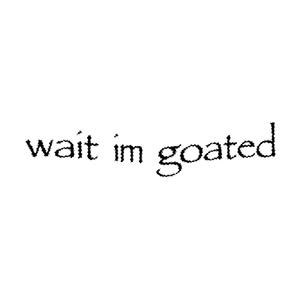 wait im goated: another compilation of unheard music (Explicit)