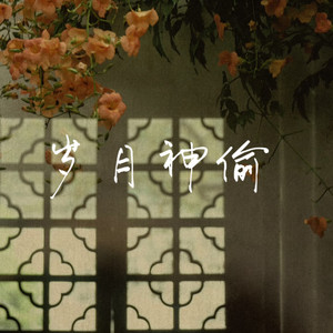 白一莎 - 岁月神偷（原谅走过的那些曲折）