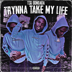 Trynna Take My Life (Explicit)