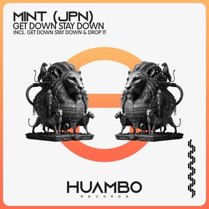 Get Down Stay Down (Radio Edit)