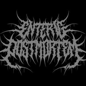 FLIES (FREESTYLE) (feat. ITSbarabbas & King Krust) (Explicit)