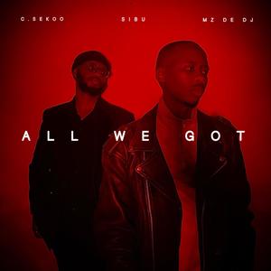 All We Got (feat. C.SEKOO & SIBU)