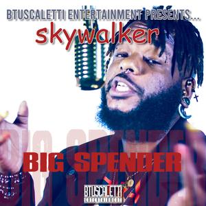 Big Spender (feat. skywalker) [Explicit]