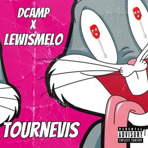 TOURNEVIS