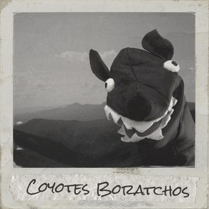 Coyotes Boratchos