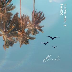 Birds (feat. Banzo)