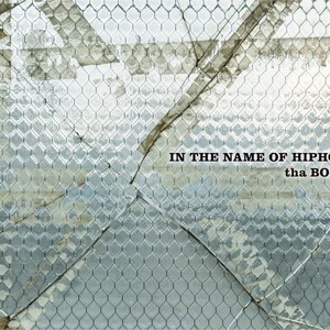 IN THE NAME OF HIPHOP