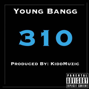 310 (Explicit)