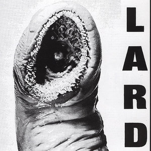 Power Of Lard