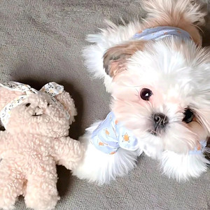 BEIYU - 金泰亨&田柾国 - love me like you do