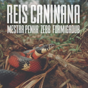 Reis Caninana (FurmigaDub Remix)