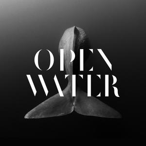 Open Water (feat. Ellie Price)