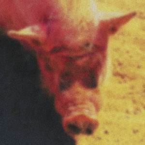 Quale canzone vuoi che siamo?