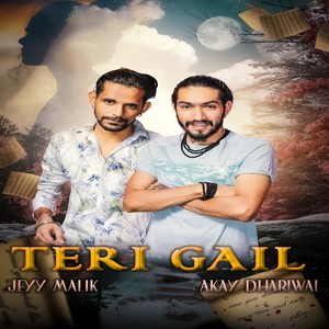 Teri Gail