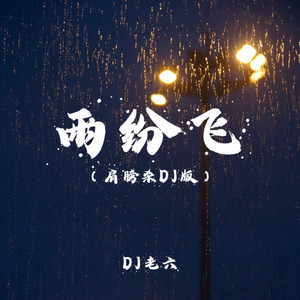 雨纷飞 (肩膀杀DJ版)
