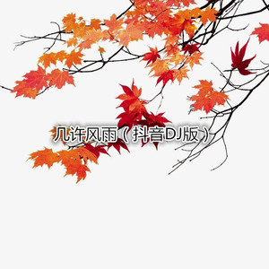 我们终究是错过 (Remix)