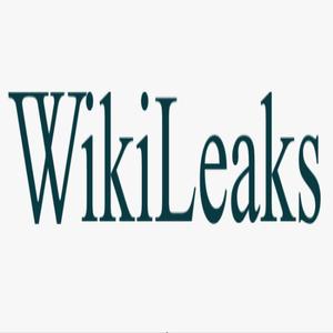 Wikileaks (Explicit)