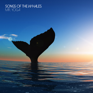 Songs Of The Whales