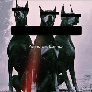 Perro Sin Correa (feat. Gabino Grhymes) (Explicit)