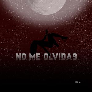 no me olvidas (feat. dgrndz)