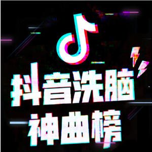 抖音洗脑：风筝是风的信 (DJ长音频)封面