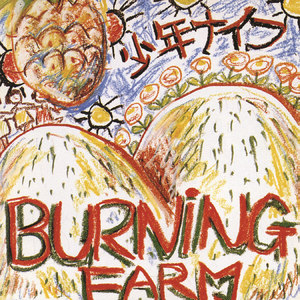 Burning Farm