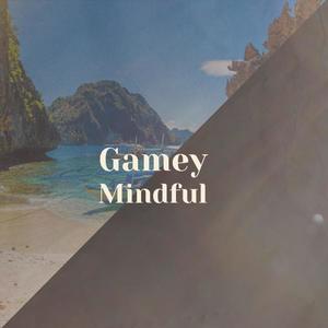 Gamey Mindful