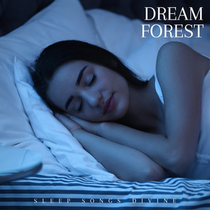 Dream Forest: Sleep Therapy