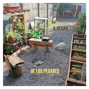 A Pesar de los Pesares