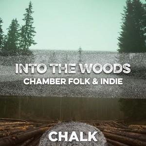 Into The Woods - Chamber Folk & Indie