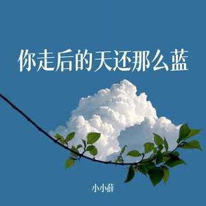 你走后的天还那么蓝 (释怀版)