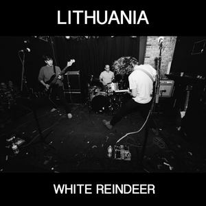 White Reindeer