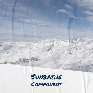 Sunbathe Component