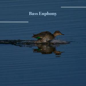 Bass Euphony