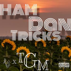 Hamdan Tricks (Freestyle) [Explicit]