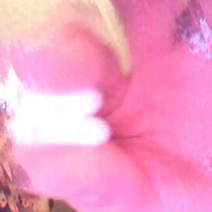 Dream of you (Explicit)