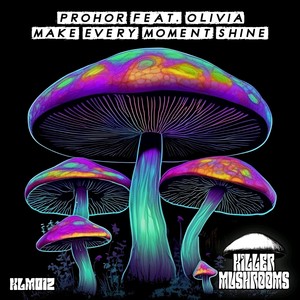 Make Every Moment Shine (Blu 9 Remix)