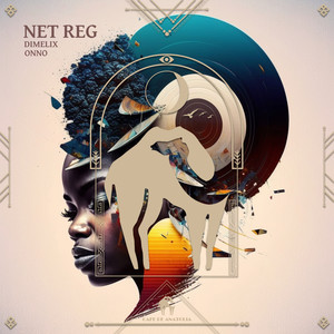 Net Reg