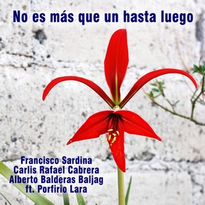 No es más que un hasta luego