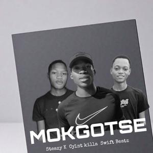 Mokgotse