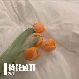 落在生命里的光