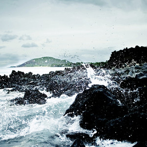 白月光与朱砂痣