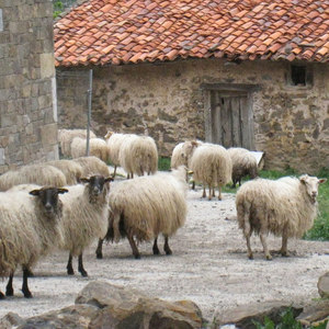 Basque Country Sheep Bells - Single