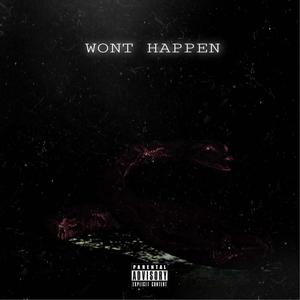Wont Happen (Explicit)