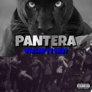 Pantera (feat. Mi2Y) [Explicit]