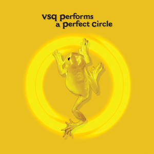 VSQ Performs A Perfect Circle