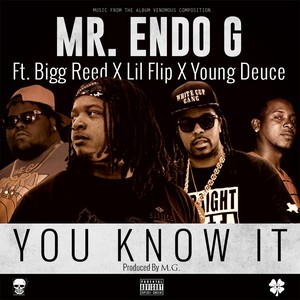 You Know It (feat. Lil Flip, Bigg Reed & Young Deuce) [Explicit]