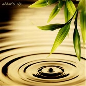 Letting Go(Feat. Kuniko Asato)