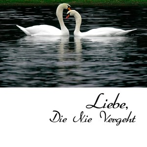 Liebe, Die Nie Vergeht