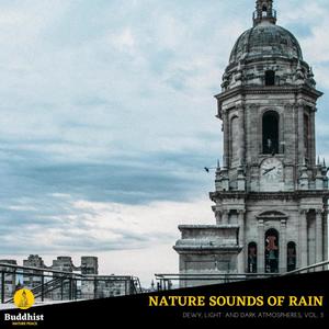 Nature Sounds of Rain - Dewy, Light and Dark Atmospheres, Vol. 3